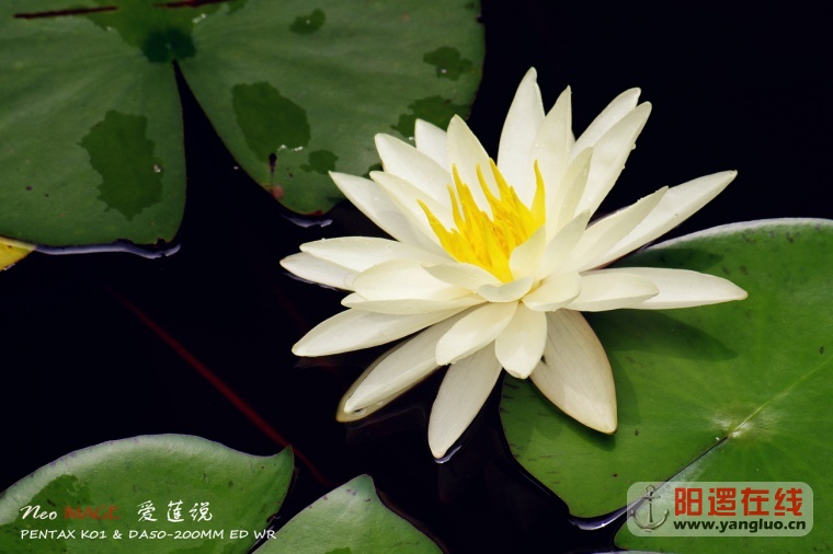 _IGP3403_副本_副本.jpg