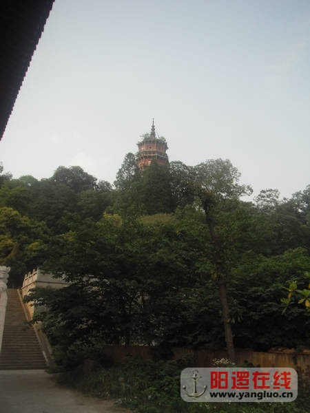 DSCF0539.JPG