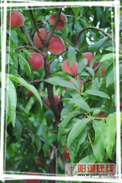 DSC_1085.jpg