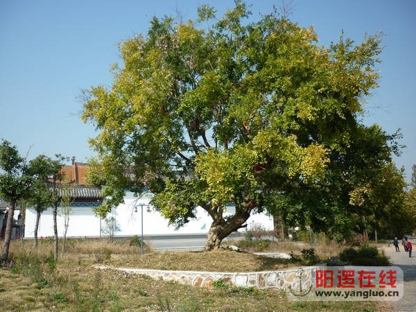 P1030669.JPG