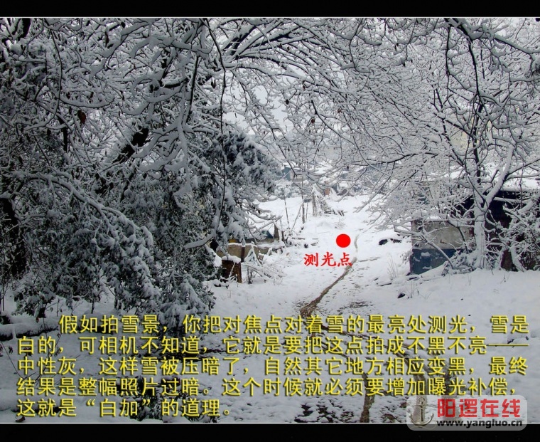 摄影中的白加黑减原则03.jpg