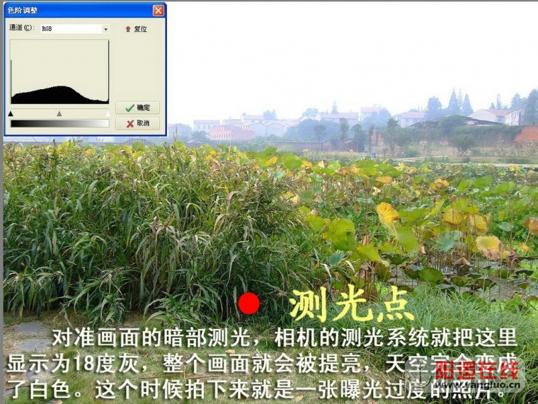 摄影中的白加黑减原则07.jpg