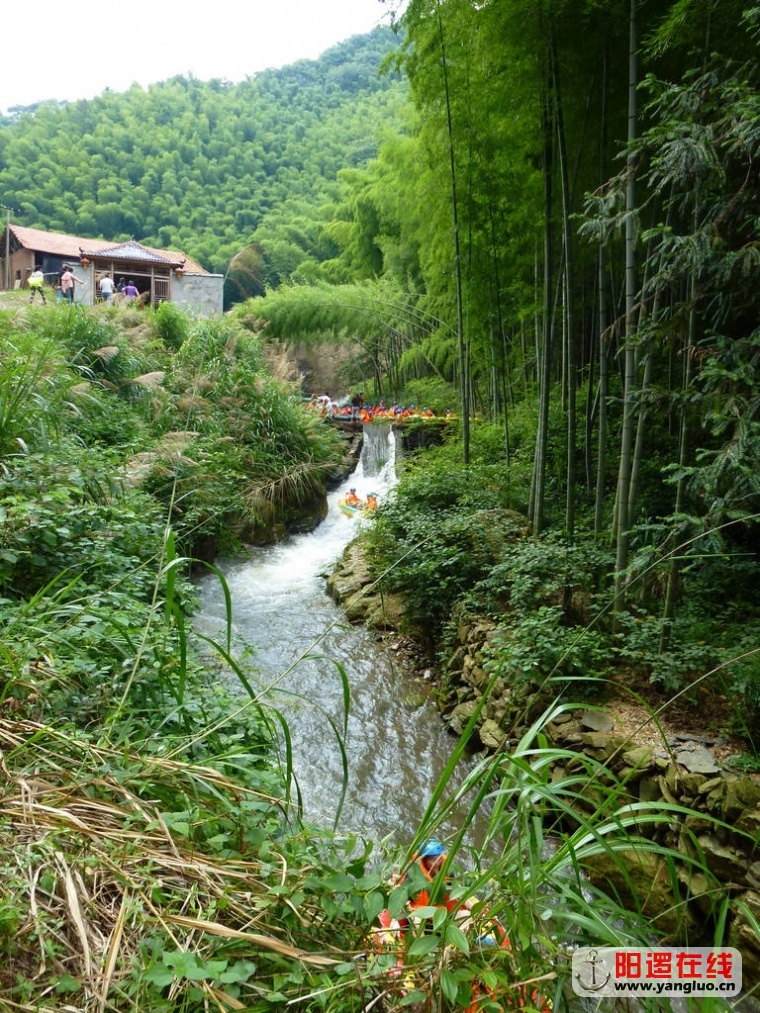 P1030690.JPG