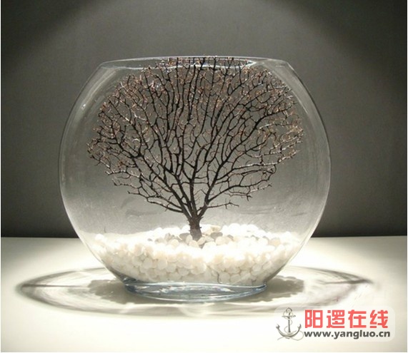 QQ图片20130714111341.jpg