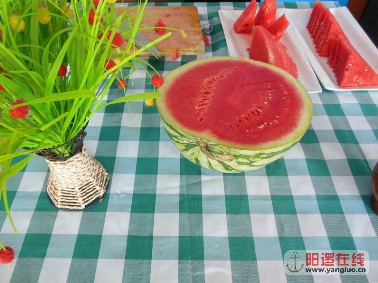 DSCN5768.jpg