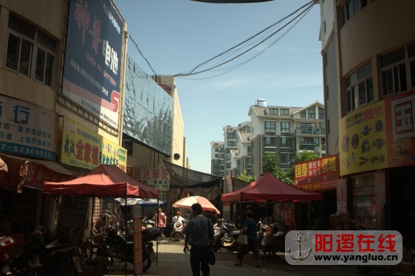 _DSC0123_编辑.jpg