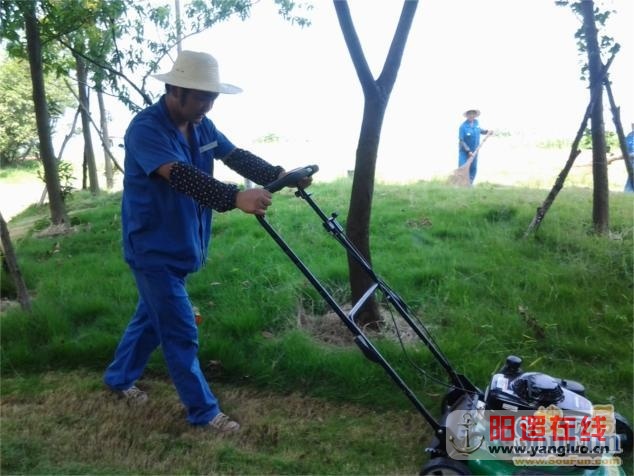 天琴湾绿化工作人员日常工作照