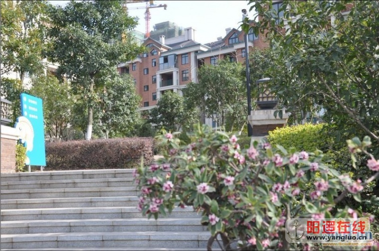 美丽的天琴湾