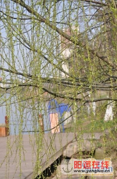 美丽的天琴湾