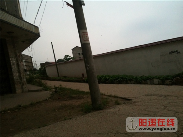 20130830203005972.jpg