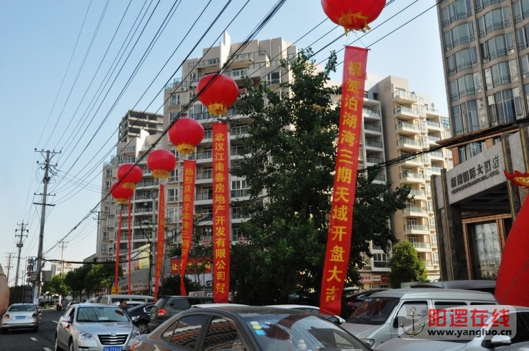 DSC_1306.JPG