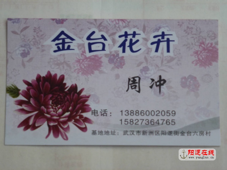 P1040167.JPG