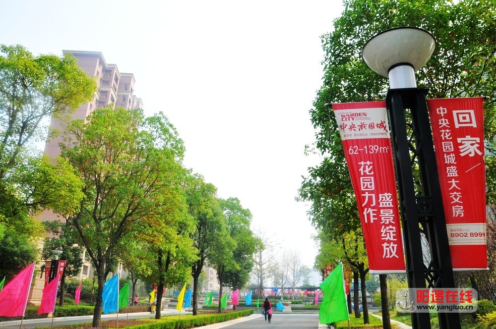 DSC_1003.JPG