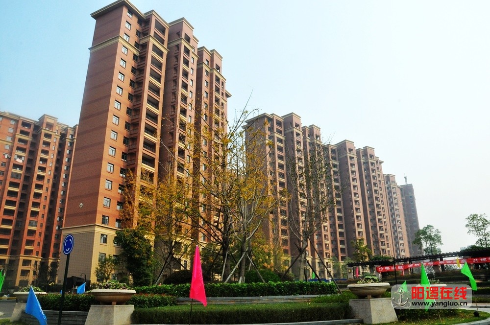 DSC_1004.JPG