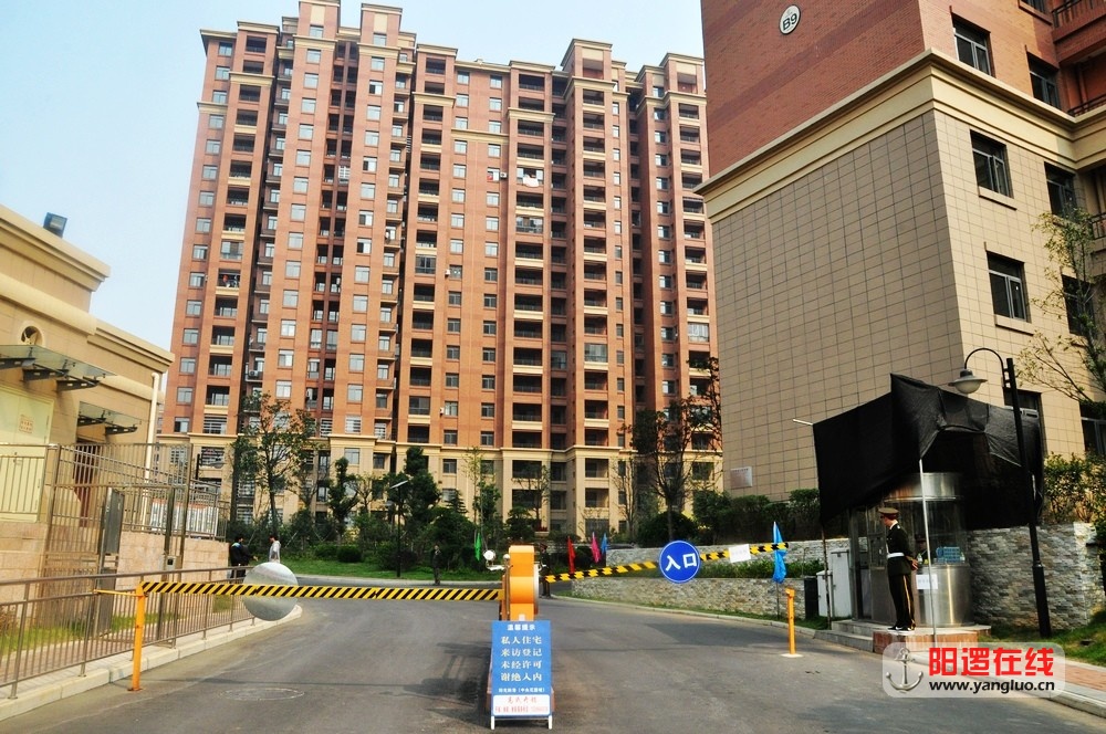 DSC_1010.JPG