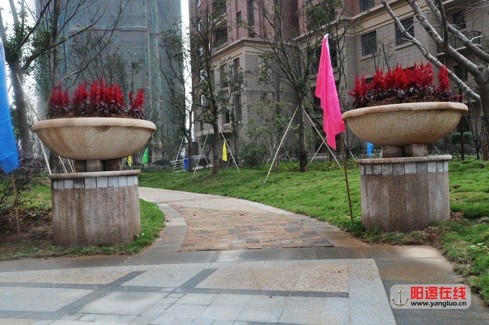 DSC_1033.JPG
