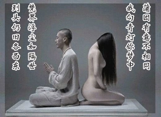 佛女.gif