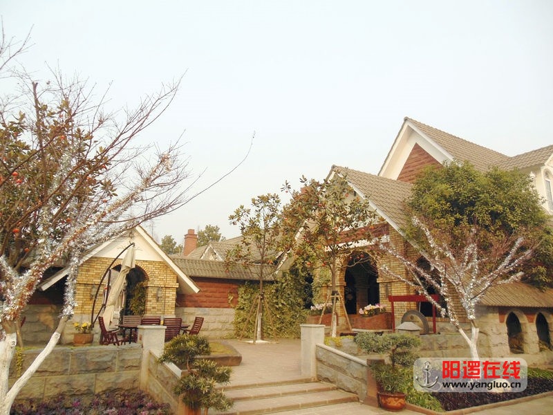 DSCN6484.jpg