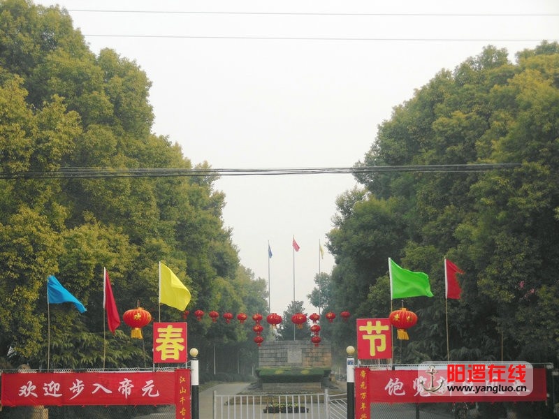 DSCN6460.jpg