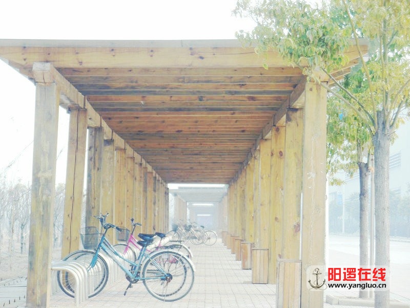 DSCN6628.jpg