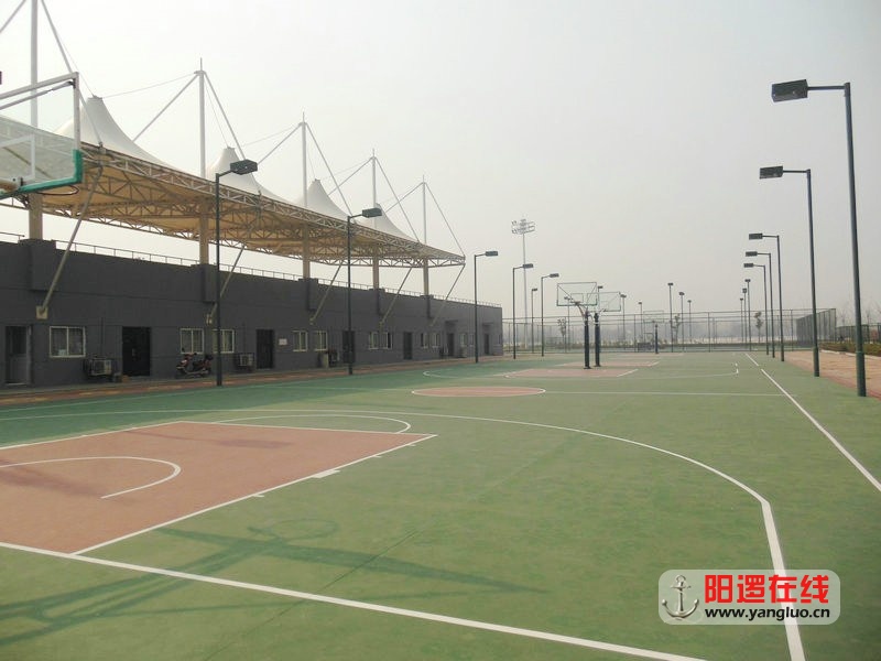 DSCN6634.jpg