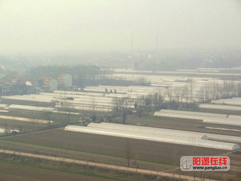 DSCN6639.jpg