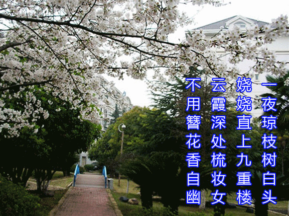 A_副本.gif