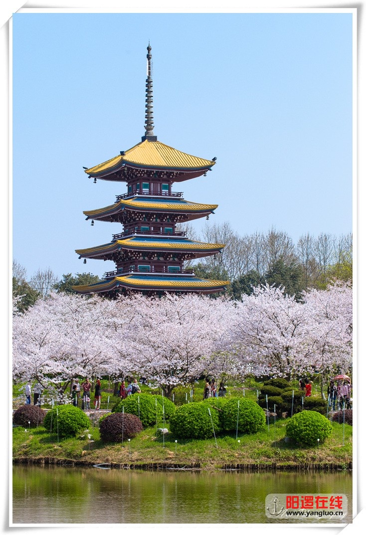 IMG_9029_副本.jpg