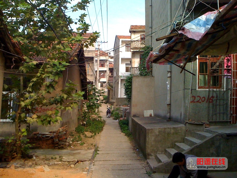 67.jpg