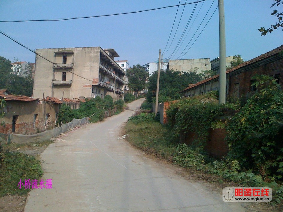 05.jpg