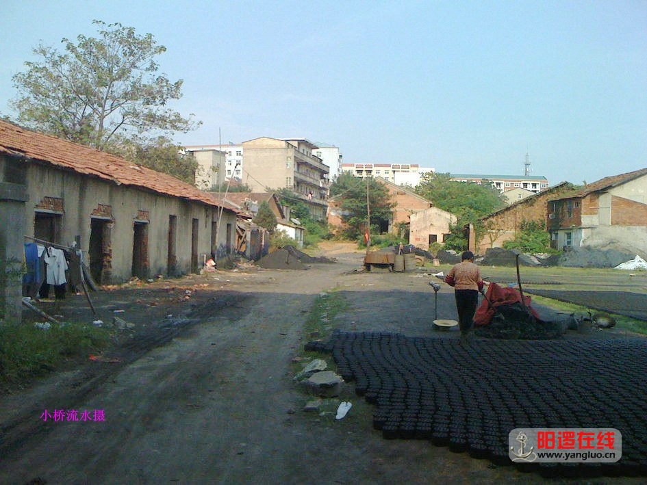 07.jpg