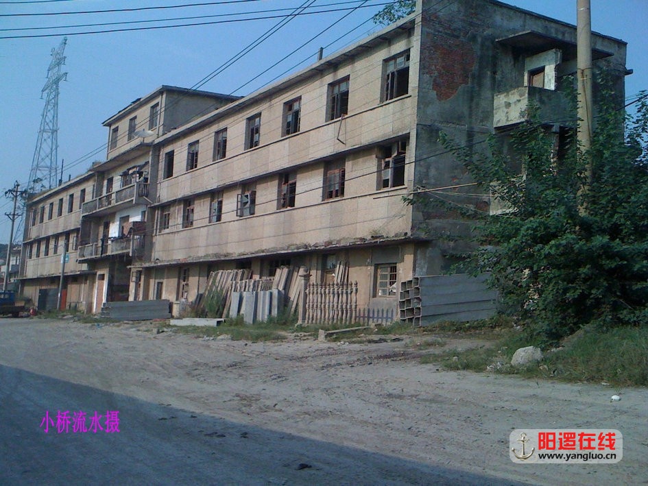 06.jpg
