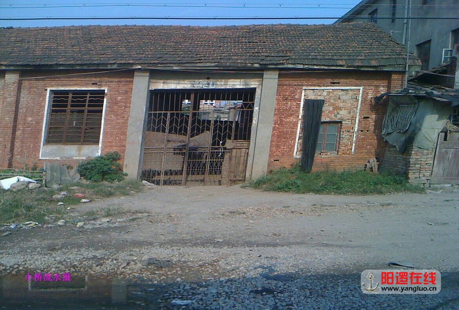 08.jpg
