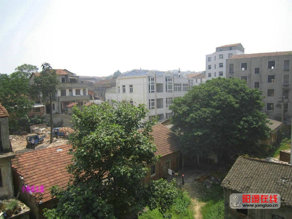 59.jpg
