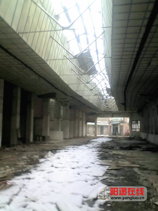 78.jpg