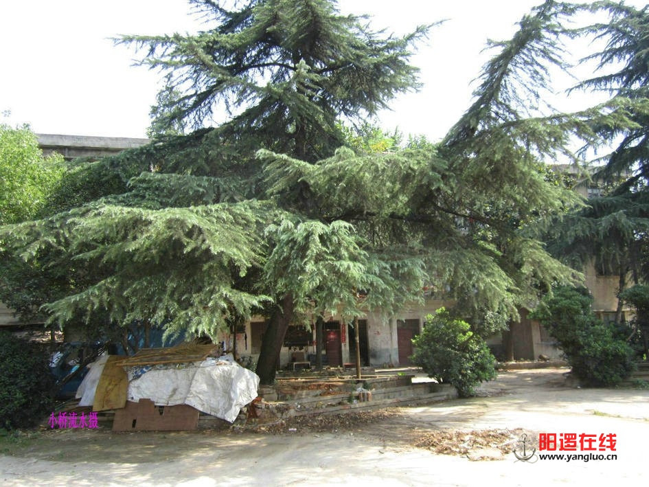 107.jpg