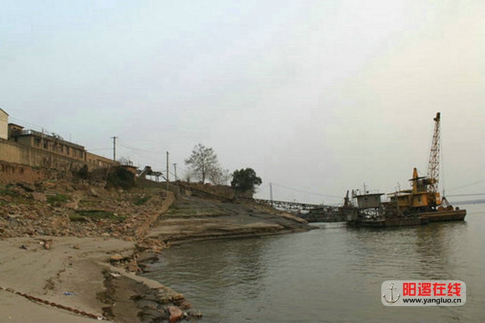 115.jpg
