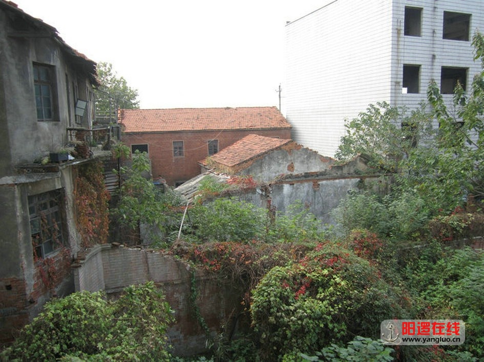 139.jpg