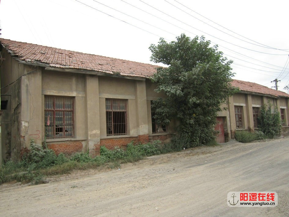 08.jpg