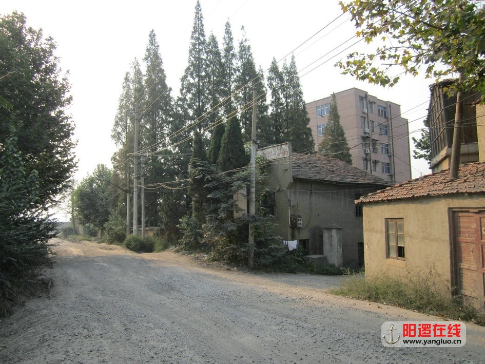 09.jpg