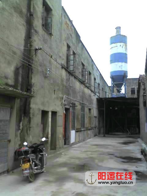 131.jpg