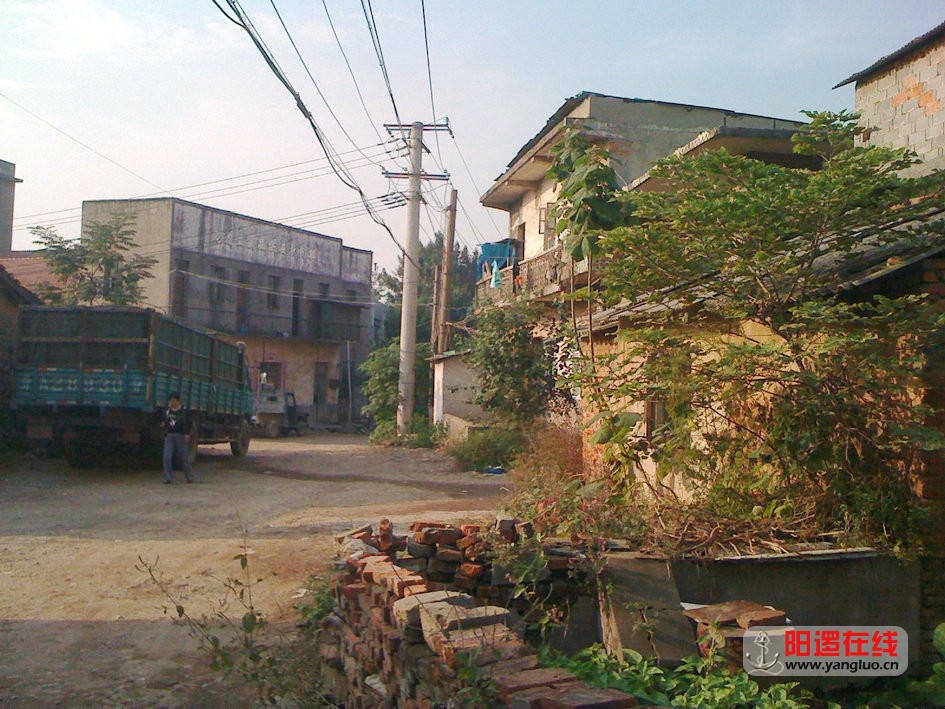 138.jpg