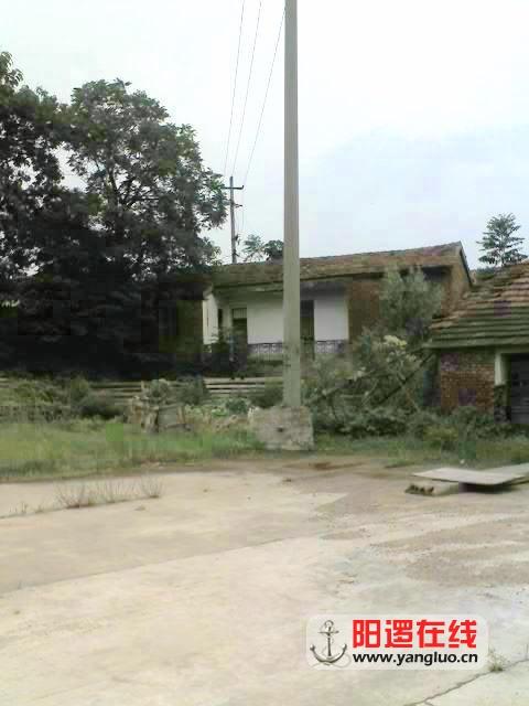 140.jpg