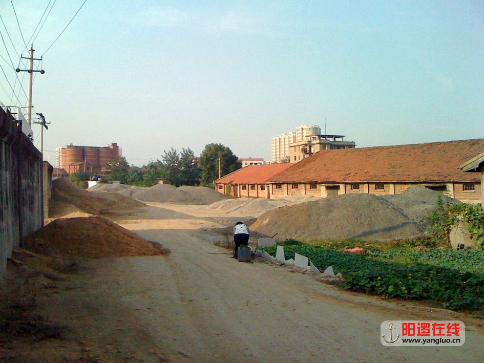 146.jpg