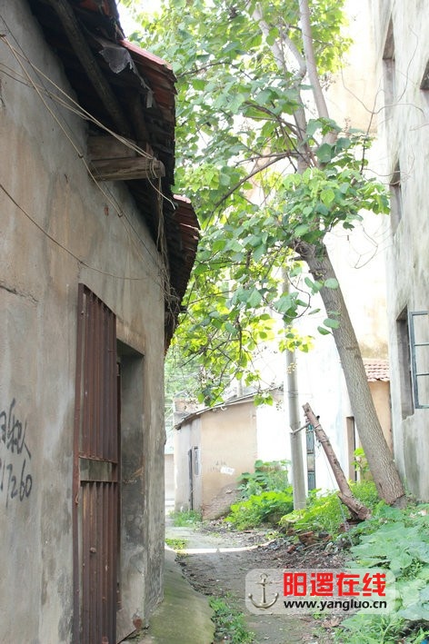 67.jpg
