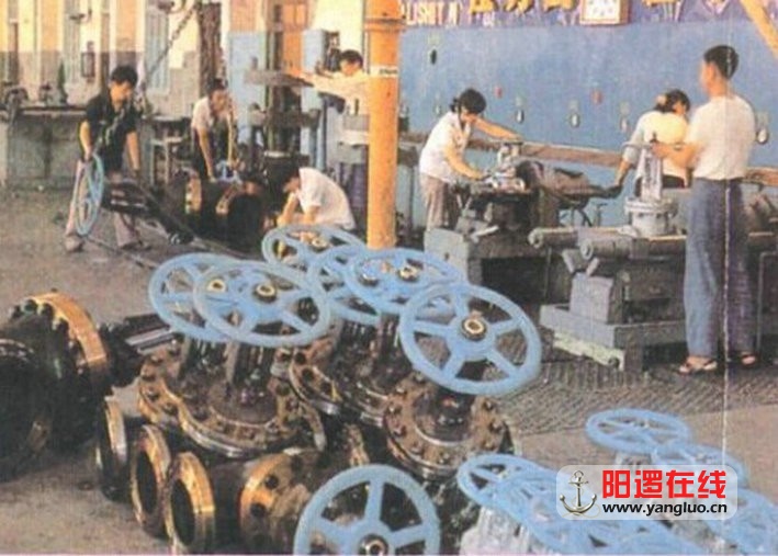 05.jpg
