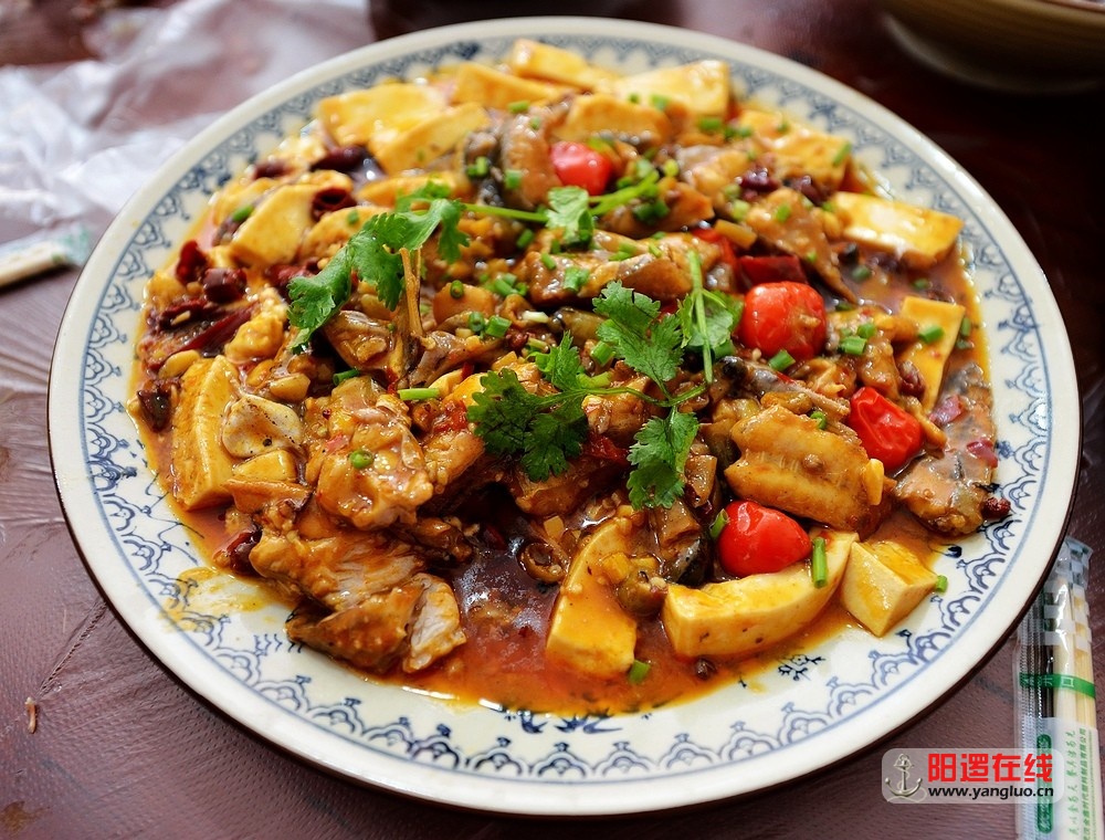 鲶鱼烧豆腐.jpg