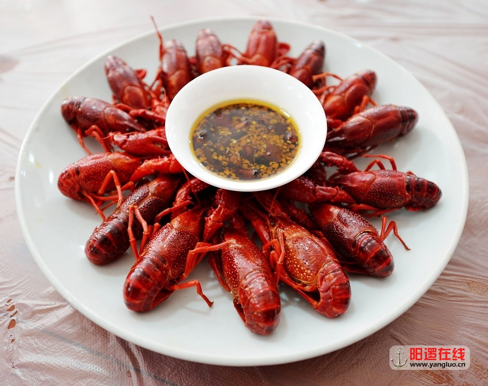 清蒸龙虾.jpg