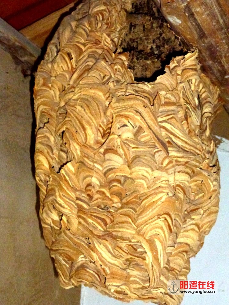 P1050001.JPG