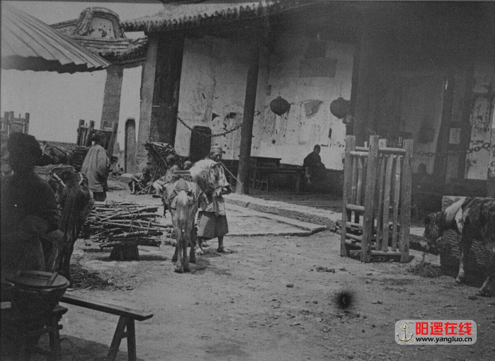 QQ图片20140727115706.jpg